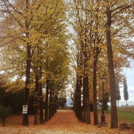 Relais Villa Gozzi B&B 奥卡纳诺 外观 照片