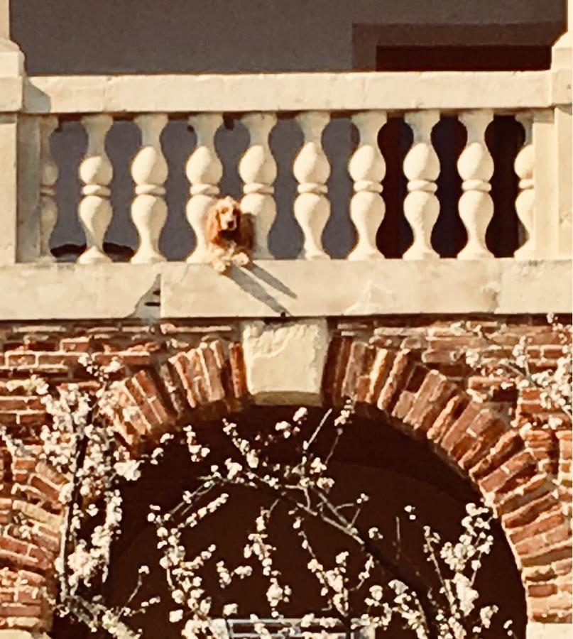 Relais Villa Gozzi B&B 奥卡纳诺 外观 照片