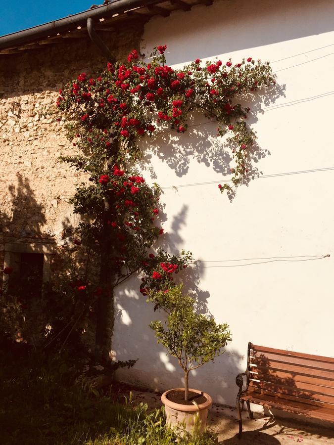 Relais Villa Gozzi B&B 奥卡纳诺 外观 照片