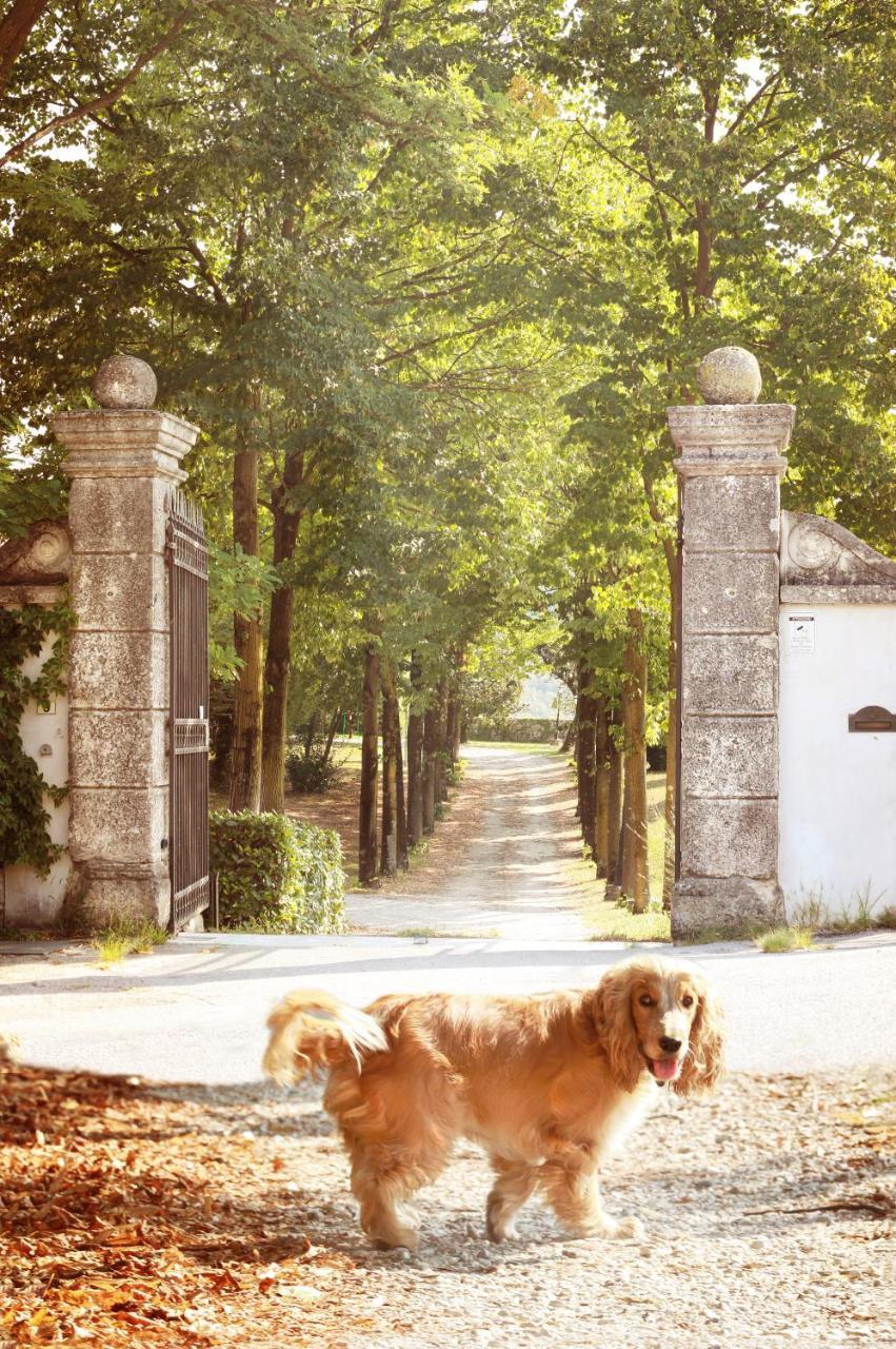 Relais Villa Gozzi B&B 奥卡纳诺 外观 照片